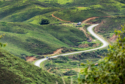 High angle view of road amidst trees