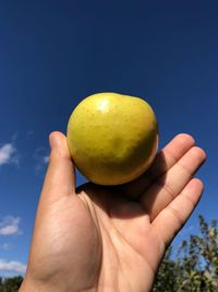 Close-up of hand holding apple against blue sky