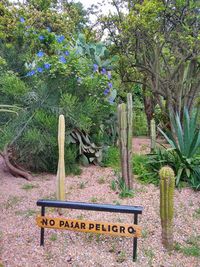 Information sign by trees in park