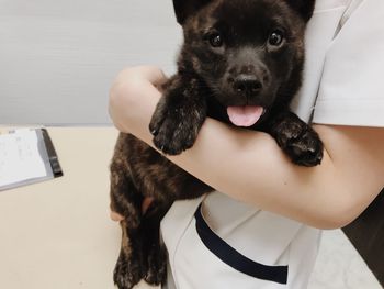 Close-up portrait of black dog