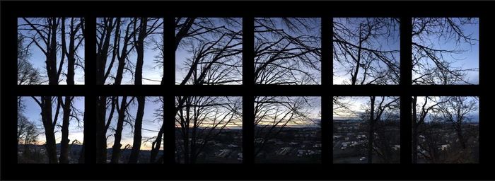 Silhouette trees against sky seen through window