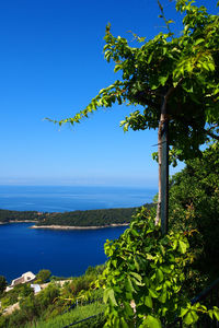 Adriatic sea against clear blue sky