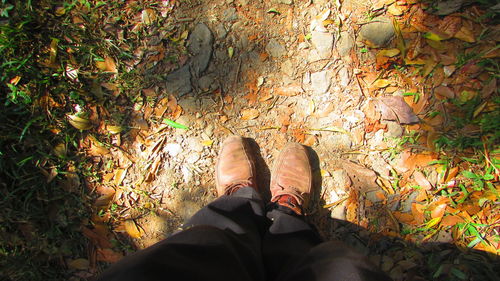 Low section of person standing on field