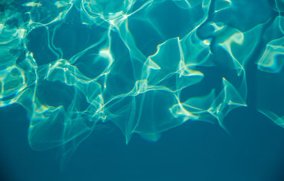 Full frame shot of jellyfish in sea