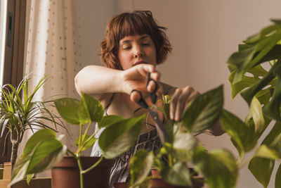 Woman with short hair cutting leaf of plants at home
