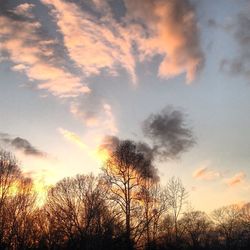 Low angle view of trees against cloudy sky