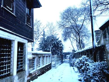 Snow covered trees in winter