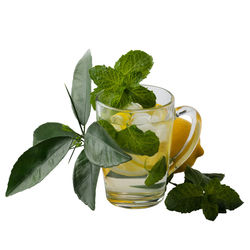 Close-up of tea cup against white background