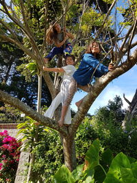Low angle view of children playing on tree