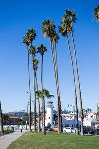 Palm trees against blue sky