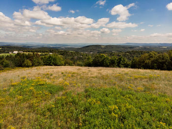 Scenic view of field against sky