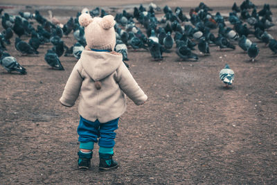 Rear view of child looking at pigeons on field