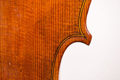 Close-up of viola against white background