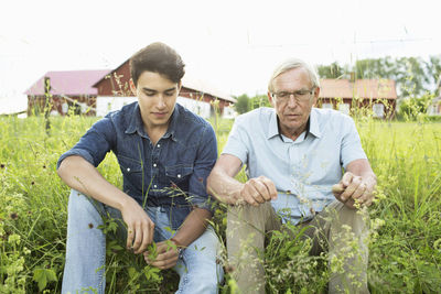 Grandson and grandfather playing with plants on field