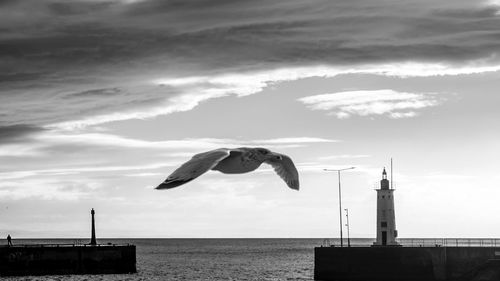 Seagull flying over sea against sky