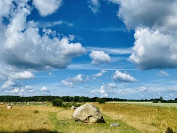 View of sheep on field against sky