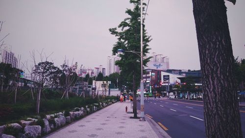 Street amidst trees against clear sky