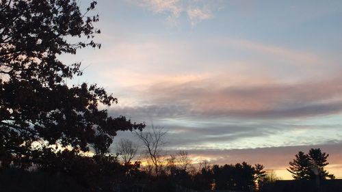 Low angle view of trees against cloudy sky