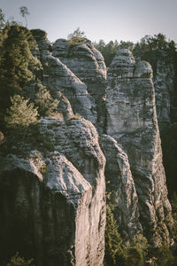 Low angle view of rocks in forest against sky