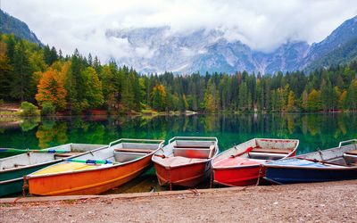 Boats moored on lake by trees in forest