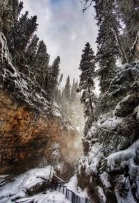 Scenic view of snow covered landscape