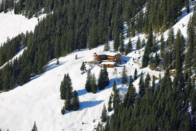 Camping house among evergreen forest on snow sunny slope of alp mountain in winter austria