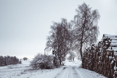 Empty road along bare trees in winter