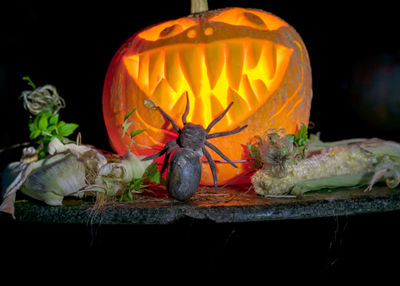 Close-up of pumpkin against black background