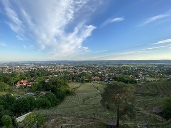 View from schnecke snail vineyard to the elbe valley radebeul 