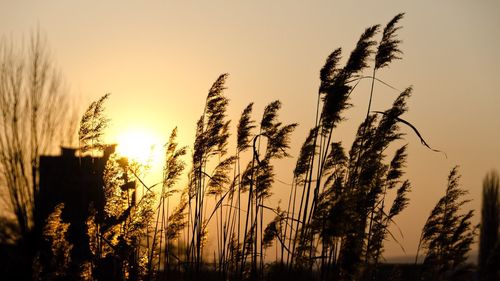 Scenic view of sunset