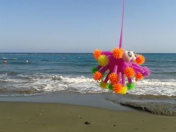 Flowers on beach against clear sky