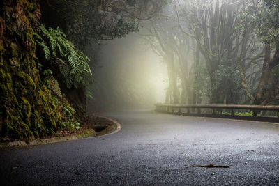 Empty road amidst trees in forest