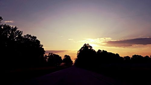 Silhouette of trees at sunset