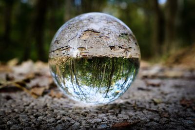 Close-up of crystal ball on rock in forest
