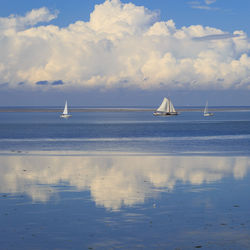 Sailboat sailing on sea against sky