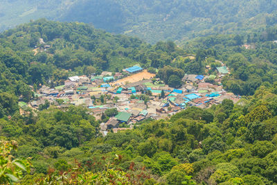 High angle view of townscape and trees