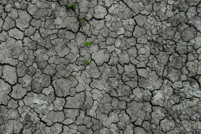 Full frame shot of cracked field