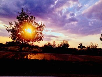 Silhouette trees against sky during sunset