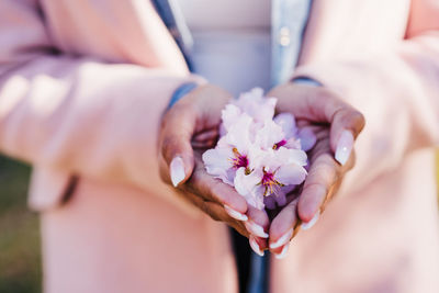 Close up of woman holding pink almond tree flowers. spring time, nature