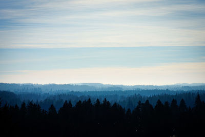 Silhouette trees in forest against sky during sunset