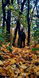Rear view of man standing by tree in forest during autumn