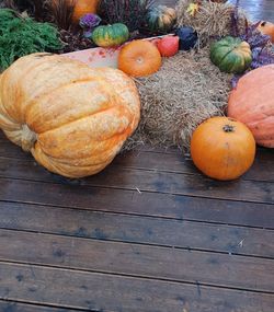 High angle view of pumpkins on table