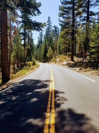 Empty road along trees