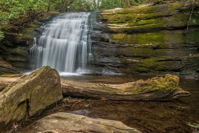 Scenic view of waterfall in forest