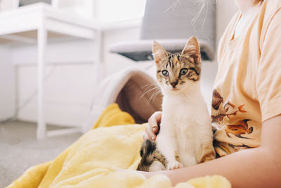 Kitten sitting on young girl in her bedroom