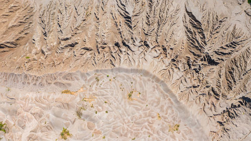 High angle view of dry leaf on land