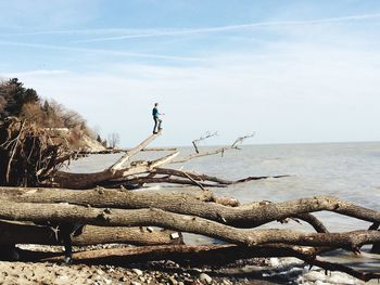 Man standing on log at beach against sky