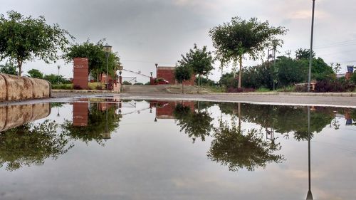 Reflection of trees in lake against sky