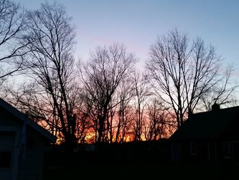 Silhouette bare trees against sky at sunset