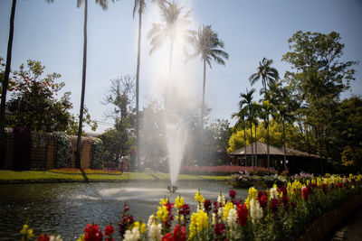 Scenic view of waterfall in park against sky